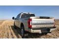 Truck Hardware Ford Platinum Tailgate Letters