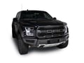 Picture of Putco Bumper Grille Inserts - Ford F-150 Raptor - Hex Shield - Black Powder coated