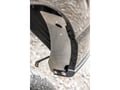 Picture of Truck Hardware Gatorback Mud Flap Brackets - Rear - 2021-2026 Ford F-150