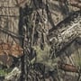 Picture of Covercraft Carhartt Camo SeatSaver Custom Second Row Seat Covers - Mossy Oak