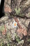 Picture of Covercraft Carhartt Camo SeatSaver Custom Second Row Seat Covers - Mossy Oak