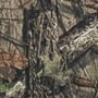 Picture of Covercraft Carhartt SeatSaver Custom Seat Cover - Mossy Oak Breakup