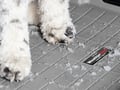 Picture of WeatherTech Cargo Liner - Behind 2nd Row Seats - Grey