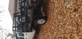 Truck Hardware Gatorback 12"x26" Chevrolet Classic Mud Flaps customer photo