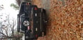 Truck Hardware Gatorback 12"x26" Chevrolet Classic Mud Flaps customer photo