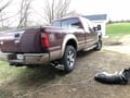 Truck Hardware Gatorback 12"x23" F-250 Mud Flaps customer photo