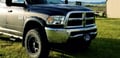Truck Hardware Gatorback 12"x23" Gunmetal RAM Head Mud Flaps customer photo