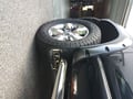 Truck Hardware Gatorback 12"x23" RAM Text Mud Flaps customer photo
