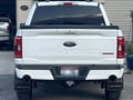 Truck Hardware Gatorback Ford Replacement Plate customer photo