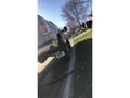Truck Hardware Gatorback 12"x23" Black Ford Oval Mud Flaps customer photo