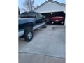 Truck Hardware Gatorback 12"x23" RAM Head Mud Flaps customer photo