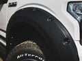 Picture for category Fender Flares