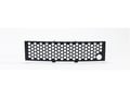 Picture of Putco Bumper Grille Inserts - Ford F-150 - ECOBOOST GRILLE - Stainless Steel - Black Punch with heater plug Opening