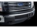 Picture of Putco Bumper Grille Inserts - Ford F-150 - ECOBOOST GRILLE - Stainless Steel - Black Diamond