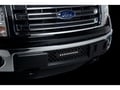 Picture of Putco Bumper Grille Inserts - Ford F-150 - EcoBoost GRILLE - Black Stainless Steel Diamond and 10