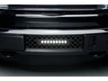 Picture of Putco Bumper Grille Inserts - Ford F-150 - EcoBoost GRILLE - Black Stainless Steel Diamond and 10