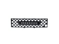 Picture of Putco Bumper Grille Inserts - Ford F-150 - EcoBoost GRILLE - Black Stainless Steel Diamond with Heater Plug opening and 10