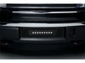 Picture of Putco Bumper Grille Insert - EcoBoost GRILLE - Black Punch - w/10 in Luminix Light Bar
