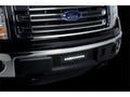 Picture of Putco Bumper Grille Inserts - Ford F-150 - EcoBoost GRILLE - Black Stainless Steel Punch with Heater Plug Opening and 10