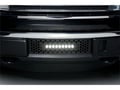 Picture of Putco Bumper Grille Inserts - Ford F-150 - EcoBoost GRILLE - Black Stainless Steel Punch with Heater Plug Opening and 10