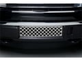 Picture of Putco Bumper Grille Inserts - Ford F-150 - EcoBoost GRILLE - Stainless Steel - Diamond Design