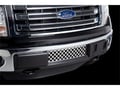 Picture of Putco Bumper Grille Inserts - Ford F-150 - EcoBoost GRILLE - Stainless Steel - Diamond Design