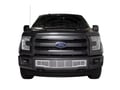 Picture of Putco Bumper Grille Inserts - Ford F-150 - Stainless Steel Bar Design