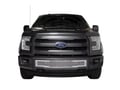 Picture of Putco Bumper Grille Inserts - Ford F-150 - Stainless Steel Punch Design