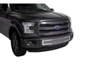 Picture of Putco Bumper Grille Inserts - Ford F-150 - Stainless Steel Punch Design