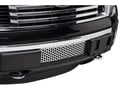 Picture of Putco Bumper Grille Inserts - Ford F-150 - EcoBoost GRILLE - Stainless Steel - Punch Design