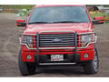 Dee Zee Stainless Steel Euro Grille Guard