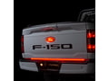 Picture of Putco Luminix LED Red Oval Tailgate LED Emblem - Does not fit Platinum or Limited - 92604