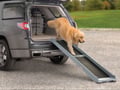 Picture of WeatherTech PetRamp