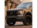 Picture of RIGID D-Series Dual Fog Light Kit - 2021+ Ford F-150