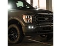 Picture of RIGID D-Series Dual Fog Light Kit - 2021+ Ford F-150