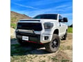 Picture of AlphaRex PRO-Series Halogen Projector Headlights - Alpha-Black