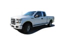 Picture of QAA Chrome ABS Tailgate Handle Cover 1Pc Fits 2015-2017 Ford F-150 XL, XLT, DH55307