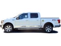 Picture of QAA Chrome ABS Tailgate Handle Cover 2Pc Fits 2018-2019 Ford F-150 DH58312