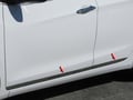 Picture of QAA Stainless Rocker Panel Trim 4Pc - Fits 2013-2017 Hyundai Elantra TH13345