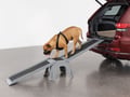 Picture of WeatherTech EasyRamp