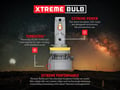 Picture of ARC Xtreme LED Replacement Bulbs