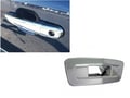 Picture of QAA Door Handle & Tailgate Covers