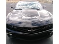 Picture of P&S Paint Gloss Showroom Spray N Shine - Pint