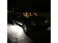 Picture of Raptor Series Universal LED Lights - White
