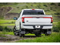 Picture of Truck Hardware Gatorback Blue Ford Oval Mud Flaps - Set