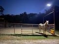 Picture of Ranch Hand Building Mount Solar Lighting System - 500w