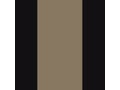 Picture of x
