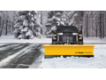 Picture of Meyer WingMan Snow Plow - 6'8