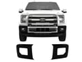 Picture of Shellz Front Bumper Cover- Side Sections - Matte Black
