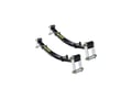 Picture of SuperSprings for F-450/F-550, Kodiak & TopKick 4500/5500 - Rear